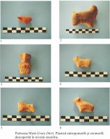 Cronica Cercetărilor Arheologice din România, Campania 2010. Raportul nr. 49, Pietroasa Mică, Gruiu Dării<br /><a href='CronicaCAfotografii/2010/049/48539-01-Pietroasa-Mica-BZ-03.jpg' target=_blank>Priveşte aceeaşi imagine într-o fereastră nouă</a>