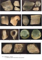 Cronica Cercetărilor Arheologice din România, Campania 2010. Raportul nr. 55, Rîmnicelu, Popina<br /><a href='CronicaCAfotografii/2010/055/43741-02-Ramnicelu-BR-9.JPG' target=_blank>Priveşte aceeaşi imagine într-o fereastră nouă</a>