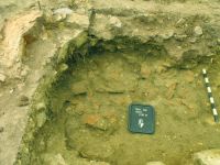 Cronica Cercetărilor Arheologice din România, Campania 2010. Raportul nr. 57, Ruginoasa, Dealul Drăghici<br /><a href='CronicaCAfotografii/2010/057/98783-01-Ruginoasa-IS-03.JPG' target=_blank>Priveşte aceeaşi imagine într-o fereastră nouă</a>