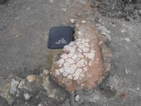 Cronica Cercetărilor Arheologice din România, Campania 2010. Raportul nr. 57, Ruginoasa, Dealul Drăghici<br /><a href='CronicaCAfotografii/2010/057/98783-01-Ruginoasa-IS-10.JPG' target=_blank>Priveşte aceeaşi imagine într-o fereastră nouă</a>