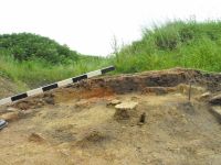 Cronica Cercetărilor Arheologice din România, Campania 2010. Raportul nr. 57, Ruginoasa, Dealul Drăghici<br /><a href='CronicaCAfotografii/2010/057/98783-01-Ruginoasa-IS-11.JPG' target=_blank>Priveşte aceeaşi imagine într-o fereastră nouă</a>