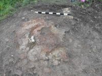 Cronica Cercetărilor Arheologice din România, Campania 2010. Raportul nr. 57, Ruginoasa, Dealul Drăghici<br /><a href='CronicaCAfotografii/2010/057/98783-01-Ruginoasa-IS-12.JPG' target=_blank>Priveşte aceeaşi imagine într-o fereastră nouă</a>