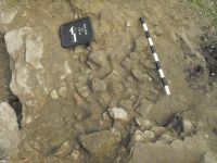 Cronica Cercetărilor Arheologice din România, Campania 2010. Raportul nr. 57, Ruginoasa, Dealul Drăghici<br /><a href='CronicaCAfotografii/2010/057/98783-01-Ruginoasa-IS-13.JPG' target=_blank>Priveşte aceeaşi imagine într-o fereastră nouă</a>