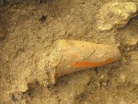 Cronica Cercetărilor Arheologice din România, Campania 2010. Raportul nr. 57, Ruginoasa, Dealul Drăghici<br /><a href='CronicaCAfotografii/2010/057/98783-01-Ruginoasa-IS-15b.JPG' target=_blank>Priveşte aceeaşi imagine într-o fereastră nouă</a>