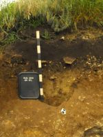 Cronica Cercetărilor Arheologice din România, Campania 2010. Raportul nr. 57, Ruginoasa, Dealul Drăghici<br /><a href='CronicaCAfotografii/2010/057/98783-01-Ruginoasa-IS-17.JPG' target=_blank>Priveşte aceeaşi imagine într-o fereastră nouă</a>