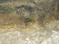 Cronica Cercetărilor Arheologice din România, Campania 2010. Raportul nr. 57, Ruginoasa, Dealul Drăghici<br /><a href='CronicaCAfotografii/2010/057/98783-01-Ruginoasa-IS-19.JPG' target=_blank>Priveşte aceeaşi imagine într-o fereastră nouă</a>