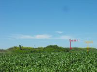 Cronica Cercetărilor Arheologice din România, Campania 2010. Raportul nr. 57, Ruginoasa, Dealul Drăghici<br /><a href='CronicaCAfotografii/2010/057/98783-01-Ruginoasa-IS-21.jpg' target=_blank>Priveşte aceeaşi imagine într-o fereastră nouă</a>