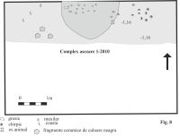 Cronica Cercetărilor Arheologice din România, Campania 2010. Raportul nr. 61, Sighişoara, Dealul Viilor (Cartierul Viilor; Cătunul Viilor, Necropolă)<br /><a href='CronicaCAfotografii/2010/061/Sighisoara-Dealul-Viilor-8.jpg' target=_blank>Priveşte aceeaşi imagine într-o fereastră nouă</a>