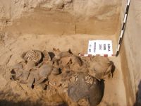 Cronica Cercetărilor Arheologice din România, Campania 2010. Raportul nr. 100, Gârla Mare, La Dune (Km fluvial 836)<br /><a href='CronicaCAfotografii/2010/100/111792-03-Garla-Mare-mh-Mormantul-3.JPG' target=_blank>Priveşte aceeaşi imagine într-o fereastră nouă</a>