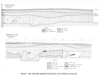 Cronica Cercetărilor Arheologice din România, Campania 2010. Raportul nr. 112, Negrileşti, Şcoala Generală (La Punte, Pin, Curtea Şcolii).<br /> Sectorul plansa-IMDA.<br /><a href='CronicaCAfotografii/2010/112/75285-01-Negrilesti-GL-4.jpg' target=_blank>Priveşte aceeaşi imagine într-o fereastră nouă</a>