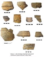 Cronica Cercetărilor Arheologice din România, Campania 2010. Raportul nr. 112, Negrileşti, Şcoala Generală (La Punte, Pin, Curtea Şcolii).<br /> Sectorul plansa-IMDA.<br /><a href='CronicaCAfotografii/2010/112/75285-01-Negrilesti-GL-7.jpg' target=_blank>Priveşte aceeaşi imagine într-o fereastră nouă</a>