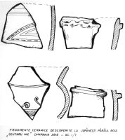 Cronica Cercetărilor Arheologice din România, Campania 2010. Raportul nr. 117, Pârâu Boia, Scutarul Mic<br /><a href='CronicaCAfotografii/2010/117/80640-01-Parau-Boia-GJ-08.jpg' target=_blank>Priveşte aceeaşi imagine într-o fereastră nouă</a>