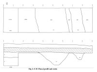 Chronicle of the Archaeological Excavations in Romania, 2010 Campaign. Report no. 125, Sălard, Valea Fărcaşului-Autostrada Braşov-Borş-km 54+150-54+350<br /><a href='CronicaCAfotografii/2010/125/31020-10-Salard-BH-1.jpg' target=_blank>Display the same picture in a new window</a>