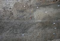 Cronica Cercetărilor Arheologice din România, Campania 2011. Raportul nr. 6, Bucşani, La Pod<br /><a href='CronicaCAfotografii/2011/006/fig-3.JPG' target=_blank>Priveşte aceeaşi imagine într-o fereastră nouă</a>