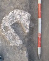 Cronica Cercetărilor Arheologice din România, Campania 2011. Raportul nr. 16, Cioroiu Nou, La Cetate<br /><a href='CronicaCAfotografii/2011/016/picture-350.jpg' target=_blank>Priveşte aceeaşi imagine într-o fereastră nouă</a>