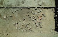 Cronica Cercetărilor Arheologice din România, Campania 2011. Raportul nr. 20, Schela Cladovei, cartier Schela Cladovei (La Canton (km 854-935))<br /><a href='CronicaCAfotografii/2011/020/figura-3-f1007.jpg' target=_blank>Priveşte aceeaşi imagine într-o fereastră nouă</a>