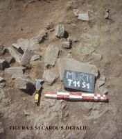 Chronicle of the Archaeological Excavations in Romania, 2011 Campaign. Report no. 45, Murighiol, La Cetate (Bataraia).<br /> Sector SECTOR-TURNUL-11.<br /><a href='CronicaCAfotografii/2011/045/SECTOR-TURNUL-11/figura-3-s1-carou-5-detaliu.jpg' target=_blank>Display the same picture in a new window</a>. Title: SECTOR-TURNUL-11