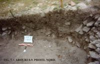 Chronicle of the Archaeological Excavations in Romania, 2011 Campaign. Report no. 45, Murighiol, La Cetate (Bataraia).<br /> Sector SECTOR-TURNUL-11.<br /><a href='CronicaCAfotografii/2011/045/SECTOR-TURNUL-11/figura-7-carouri-8-9-profil-nord.jpg' target=_blank>Display the same picture in a new window</a>. Title: SECTOR-TURNUL-11