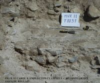 Chronicle of the Archaeological Excavations in Romania, 2011 Campaign. Report no. 45, Murighiol, La Cetate (Bataraia).<br /> Sector SECTOR-TURNUL-11.<br /><a href='CronicaCAfotografii/2011/045/SECTOR-TURNUL-11/figura-8-s1-carou-8-emplecton-asiza.jpg' target=_blank>Display the same picture in a new window</a>. Title: SECTOR-TURNUL-11