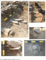 Cronica Cercetărilor Arheologice din România, Campania 2011. Raportul nr. 46, Năvodari, La Ostrov (Lacul Taşaul)<br /><a href='CronicaCAfotografii/2011/046/pl-2.jpg' target=_blank>Priveşte aceeaşi imagine într-o fereastră nouă</a>