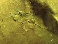 Cronica Cercetărilor Arheologice din România, Campania 2011. Raportul nr. 55, Petreştii De Jos, Dealul lui Horna<br /><a href='CronicaCAfotografii/2011/055/fig-3-chei-detaliu-sudare-la-rece-aur.jpg' target=_blank>Priveşte aceeaşi imagine într-o fereastră nouă</a>