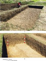 Cronica Cercetărilor Arheologice din România, Campania 2011. Raportul nr. 64, Rîmnicelu, Popina<br /><a href='CronicaCAfotografii/2011/064/ramn-p-2011-03.jpg' target=_blank>Priveşte aceeaşi imagine într-o fereastră nouă</a>