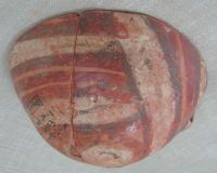 Cronica Cercetărilor Arheologice din România, Campania 2011. Raportul nr. 69, Scânteia, La Nuci (Dealul Bodeştilor).<br /> Sectorul Rezerve.<br /><a href='CronicaCAfotografii/2011/069/fig-1-gr173-130-243cm.jpg' target=_blank>Priveşte aceeaşi imagine într-o fereastră nouă</a>