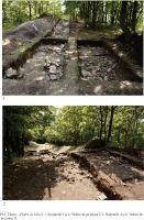 Cronica Cercetărilor Arheologice din România, Campania 2011. Raportul nr. 80, Târcov, La piatra cu lilieci<br /><a href='CronicaCAfotografii/2011/080/tarcov-plansa-2011-cronica.jpg' target=_blank>Priveşte aceeaşi imagine într-o fereastră nouă</a>