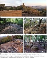 Cronica Cercetărilor Arheologice din România, Campania 2011. Raportul nr. 84, Teliţa, Edirlen<br /><a href='CronicaCAfotografii/2011/084/edirlen-fig01-vederi-generale.jpg' target=_blank>Priveşte aceeaşi imagine într-o fereastră nouă</a>