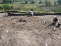 Cronica Cercetărilor Arheologice din România, Campania 2011. Raportul nr. 91, Vitanesti, La Măgurice (Teleor 007)<br /><a href='CronicaCAfotografii/2011/091/aspecte-de-sapatura.jpg' target=_blank>Priveşte aceeaşi imagine într-o fereastră nouă</a>