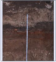 Cronica Cercetărilor Arheologice din România, Campania 2011. Raportul nr. 98, Bucureşti<br /><a href='CronicaCAfotografii/2011/098/9.jpg' target=_blank>Priveşte aceeaşi imagine într-o fereastră nouă</a>