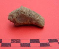 Cronica Cercetărilor Arheologice din România, Campania 2011. Raportul nr. 109, Cotmeana, Dulercea<br /><a href='CronicaCAfotografii/2011/109/3.JPG' target=_blank>Priveşte aceeaşi imagine într-o fereastră nouă</a>