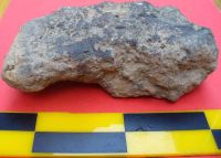 Cronica Cercetărilor Arheologice din România, Campania 2011. Raportul nr. 109, Cotmeana, Dulercea<br /><a href='CronicaCAfotografii/2011/109/9.JPG' target=_blank>Priveşte aceeaşi imagine într-o fereastră nouă</a>