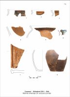 Cronica Cercetărilor Arheologice din România, Campania 2011. Raportul nr. 110, Cozmeni, Köházkert (Conacul Béldi)<br /><a href='CronicaCAfotografii/2011/110/t-8-mat-arh-int-pivn.jpg' target=_blank>Priveşte aceeaşi imagine într-o fereastră nouă</a>