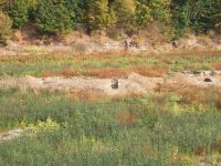 Cronica Cercetărilor Arheologice din România, Campania 2011. Raportul nr. 113, Dopca, Valea Mare<br /><a href='CronicaCAfotografii/2011/113/fig-2-imagine-de-ansamblu-cu-zona-cercetata.JPG' target=_blank>Priveşte aceeaşi imagine într-o fereastră nouă</a>