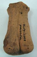 Cronica Cercetărilor Arheologice din România, Campania 2011. Raportul nr. 117, Fulgeriş, La Trei Cireşi (Dealul Fulgeriş).<br /> Sectorul Ilustratie.<br /><a href='CronicaCAfotografii/2011/117/fig-11-foto-piese-2.JPG' target=_blank>Priveşte aceeaşi imagine într-o fereastră nouă</a>