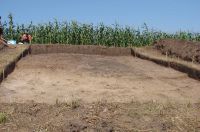 Cronica Cercetărilor Arheologice din România, Campania 2011. Raportul nr. 117, Fulgeriş, La Trei Cireşi (Dealul Fulgeriş).<br /> Sectorul Ilustratie.<br /><a href='CronicaCAfotografii/2011/117/fig-5-vedere-generala-s-xii-2.JPG' target=_blank>Priveşte aceeaşi imagine într-o fereastră nouă</a>