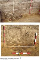 Cronica Cercetărilor Arheologice din România, Campania 2011. Raportul nr. 119, Găvani, Parc eolian<br /><a href='CronicaCAfotografii/2011/119/gem-gav-t03-03.jpg' target=_blank>Priveşte aceeaşi imagine într-o fereastră nouă</a>