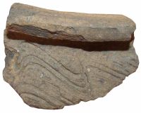 Cronica Cercetărilor Arheologice din România, Campania 2011. Raportul nr. 132, Negrileşti, Şcoala Generală (La Punte, Pin, Curtea Şcolii).<br /> Sectorul plansa-IMDA.<br /><a href='CronicaCAfotografii/2011/132/6-2.jpg' target=_blank>Priveşte aceeaşi imagine într-o fereastră nouă</a>