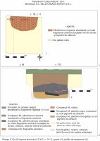 Cronica Cercetărilor Arheologice din România, Campania 2011. Raportul nr. 133, Pantelimon, Colţul pădurii<br /><a href='CronicaCAfotografii/2011/133/2.jpg' target=_blank>Priveşte aceeaşi imagine într-o fereastră nouă</a>