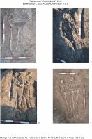 Cronica Cercetărilor Arheologice din România, Campania 2011. Raportul nr. 133, Pantelimon, Colţul pădurii<br /><a href='CronicaCAfotografii/2011/133/7.jpg' target=_blank>Priveşte aceeaşi imagine într-o fereastră nouă</a>