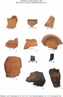 Cronica Cercetărilor Arheologice din România, Campania 2011. Raportul nr. 133, Pantelimon, Colţul pădurii<br /><a href='CronicaCAfotografii/2011/133/9.jpg' target=_blank>Priveşte aceeaşi imagine într-o fereastră nouă</a>