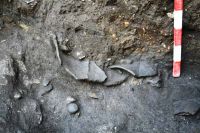 Cronica Cercetărilor Arheologice din România, Campania 2011. Raportul nr. 138, Râşnov<br /><a href='CronicaCAfotografii/2011/138/risnov1.JPG' target=_blank>Priveşte aceeaşi imagine într-o fereastră nouă</a>