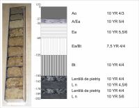 Cronica Cercetărilor Arheologice din România, Campania 2011. Raportul nr. 143, Sita Buzăului, Malul Dinu Buzea (Cremenea)<br /><a href='CronicaCAfotografii/2011/143/munsell-micromonolit.jpg' target=_blank>Priveşte aceeaşi imagine într-o fereastră nouă</a>