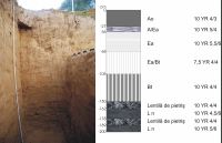 Cronica Cercetărilor Arheologice din România, Campania 2011. Raportul nr. 143, Sita Buzăului, Malul Dinu Buzea (Cremenea)<br /><a href='CronicaCAfotografii/2011/143/munsell-profil.jpg' target=_blank>Priveşte aceeaşi imagine într-o fereastră nouă</a>