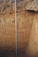 Cronica Cercetărilor Arheologice din România, Campania 2011. Raportul nr. 143, Sita Buzăului, Malul Dinu Buzea (Cremenea)<br /><a href='CronicaCAfotografii/2011/143/profil-1.jpg' target=_blank>Priveşte aceeaşi imagine într-o fereastră nouă</a>