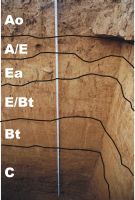Cronica Cercetărilor Arheologice din România, Campania 2011. Raportul nr. 143, Sita Buzăului, Malul Dinu Buzea (Cremenea)<br /><a href='CronicaCAfotografii/2011/143/profil-sol.jpg' target=_blank>Priveşte aceeaşi imagine într-o fereastră nouă</a>