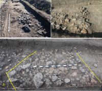 Chronicle of the Archaeological Excavations in Romania, 2011 Campaign. Report no. 152, Tăcuta, Dealul Miclea (Paic)<br /><a href='CronicaCAfotografii/2011/152/fig-3-tacuta-011-si-l-1.jpg' target=_blank>Display the same picture in a new window</a>