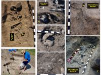 Chronicle of the Archaeological Excavations in Romania, 2011 Campaign. Report no. 152, Tăcuta, Dealul Miclea (Paic)<br /><a href='CronicaCAfotografii/2011/152/fig-6-tacuta-011-complexe-funerare-jpg.jpg' target=_blank>Display the same picture in a new window</a>