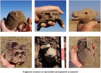 Chronicle of the Archaeological Excavations in Romania, 2011 Campaign. Report no. 171, Şoimuş, Teleghi (km 29+750 - 30+300 - Sector B)<br /><a href='CronicaCAfotografii/2011/171/dsc00092.jpg' target=_blank>Display the same picture in a new window</a>